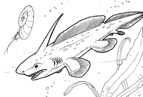 Pleuracanthus   Prehistoric Shark Coloring Page